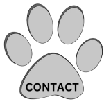 Contact Us dog grooming course near me