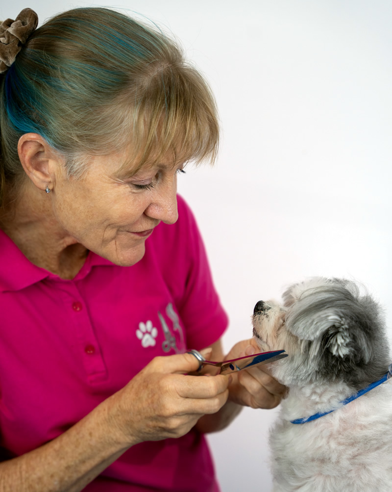 Jill Cairns Grooming Salon 